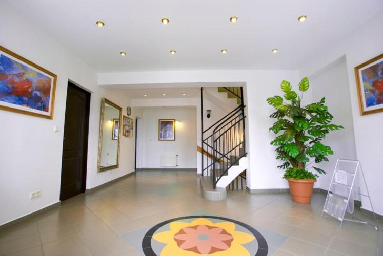 Dom Sonia Appartement Niechorze Buitenkant foto